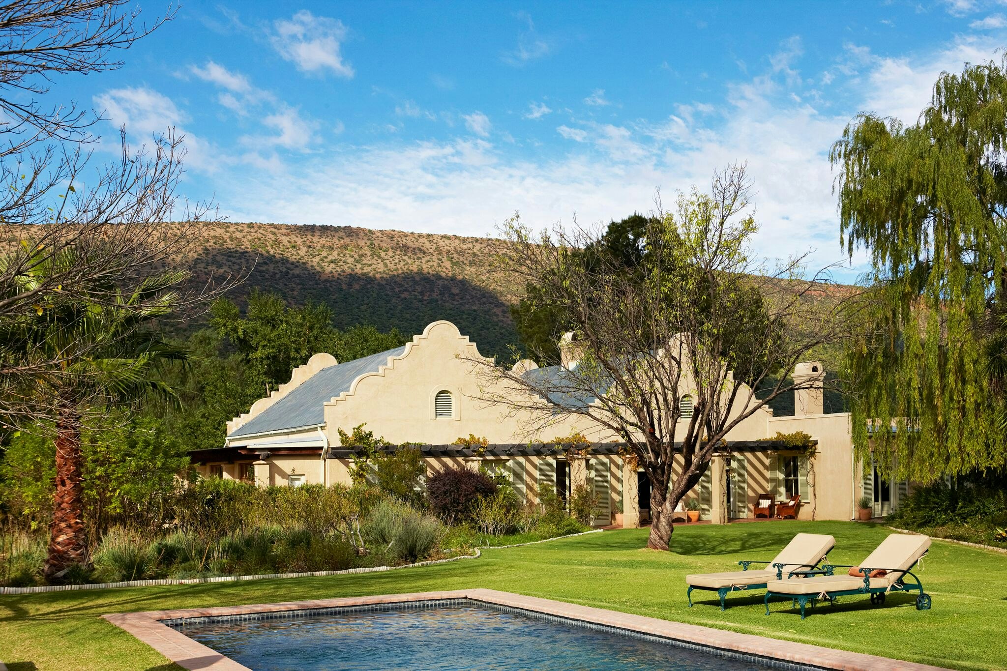 The roof of a private house: the diversity of species The roof of a private house: the diversity of species